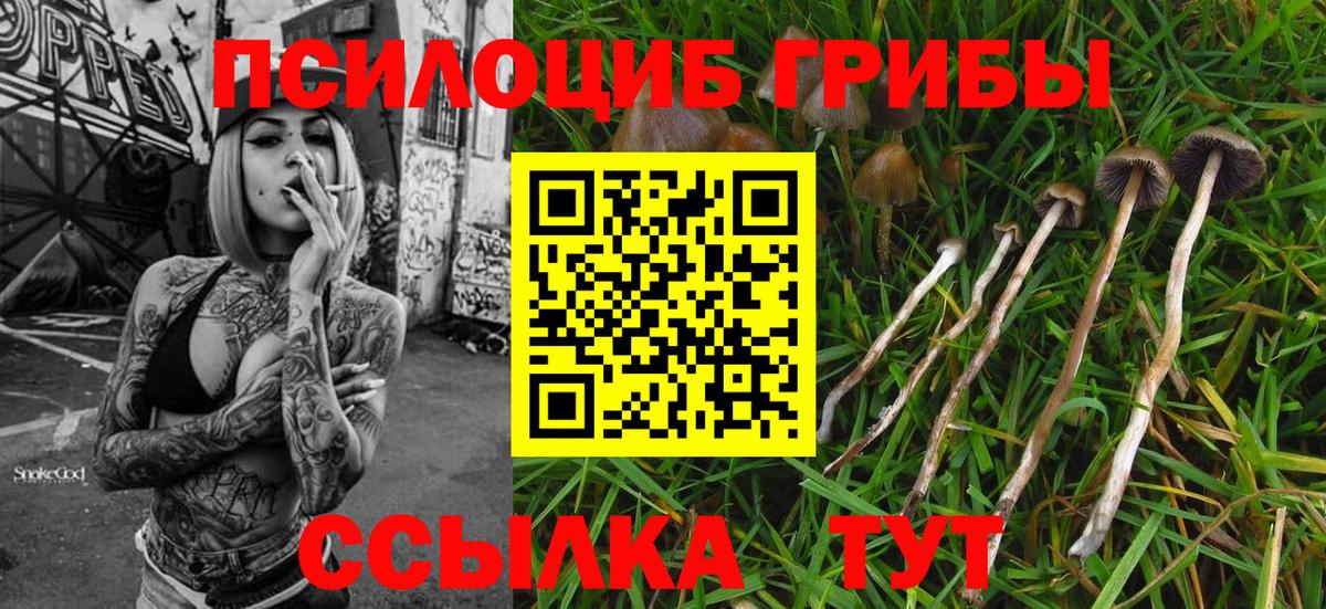 Псилоцибиновые грибы прущие грибы  Вход с VPN  Галлюциногенные грибы мухоморы  Чистополь 
